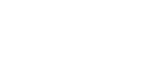Pocket Vision
